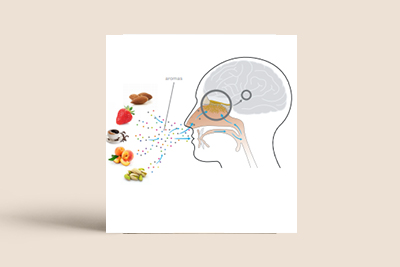 The Science Between Great Almond Pairings